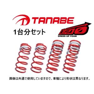 TANABE SUSTEC DF210 ダウンサス TANABE タナベ DF210 ダウンサス (1台分) N-VAN JJ1 JJ1DK