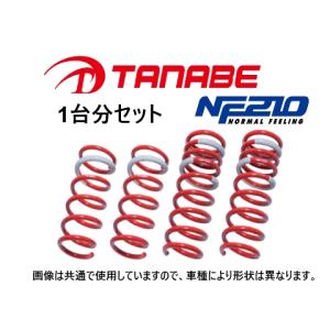 TANABE（タナベ） NF210 ダウンサス (リア左右) スカイライン クーペ