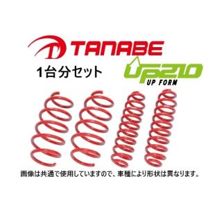TANABE 送料無料 タナベ UP210 リフトアップサス (1台分