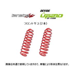 TANABE（タナベ） 送料無料 UP210 リフトアップサス (1台分