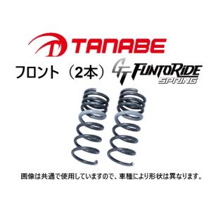 tanabe タナベ GT ファントライド スプリング フロントのみ マーチ k13