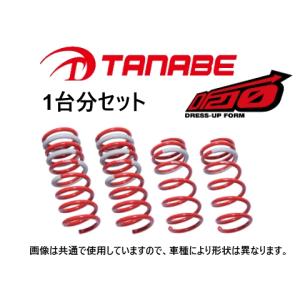 送料無料 タナベ DF210 ダウンサス (1台分) ノア ZRR75G/ZRR75W