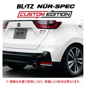 TEIN（テイン） 車高調 フレックスゼット FLEX Z フィット (RS) FF GS4