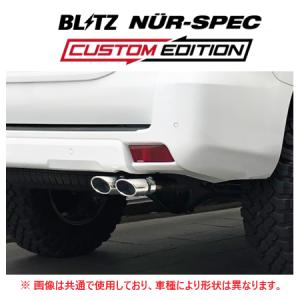 BLITZ（ブリッツ） 個人宅OK ニュルスペック カスタムエディション