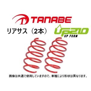 TANABE UP210アップサス前後セット CV5WデリカD:5 M4WD用 デリカD：5 CV5W アップサス リア左右セット タナベ ディバイドUP210
