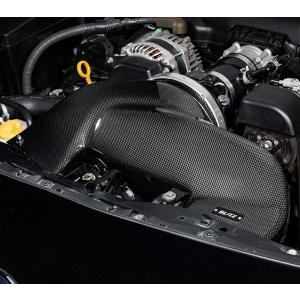 BLITZ ブリッツ カーボンインテークシステム 86 ZN6 27033