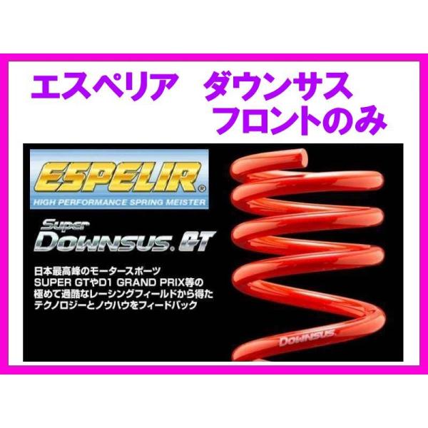 エスペリア スーパーダウンサスGT (フロント左右) スカイライン GT-R BCNR33 ESN-...