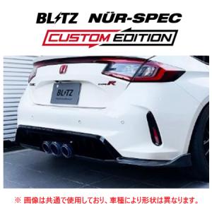 BLITZ（ブリッツ） 個人宅OK ニュルスペック カスタムエディション