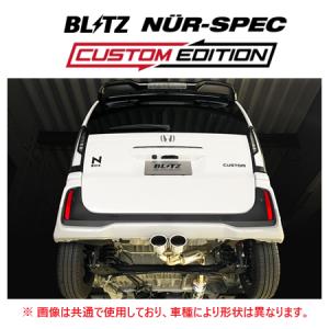 BLITZ（ブリッツ） 個人宅OK ニュルスペック カスタムエディション