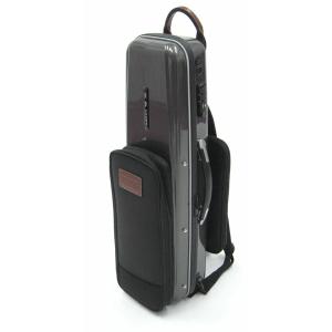 bags バッグス テナーサックス ケース M-RED (メタリックレッド) EFTS