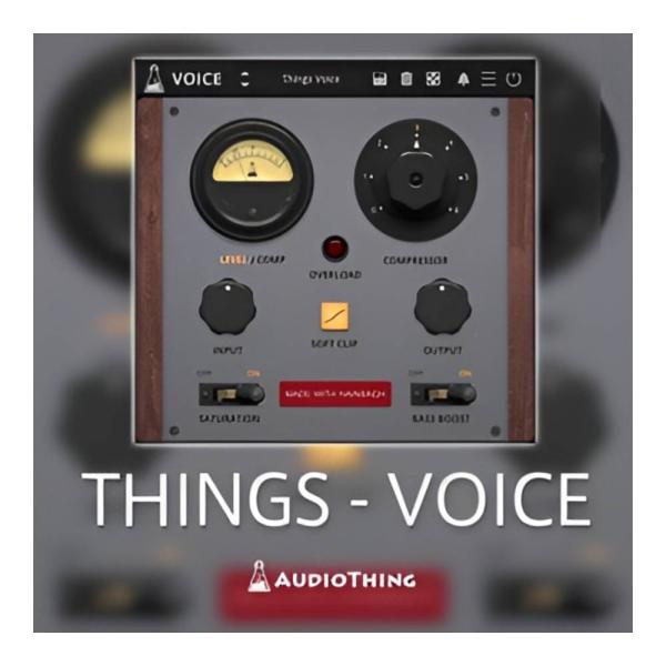 AUDIOTHING THINGS - VOICE [メール納品]
