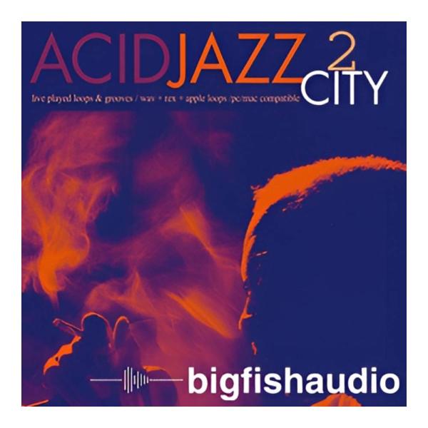 BIG FISH AUDIO ACID JAZZ CITY 2 [メール納品][メーカープロモーショ...