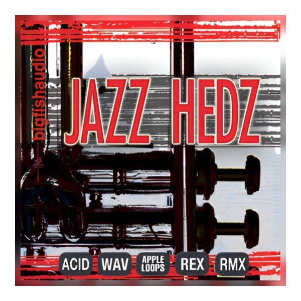 BIG FISH AUDIO JAZZ HEDZ - ACID JAZZ PAK [メール納品][メ...
