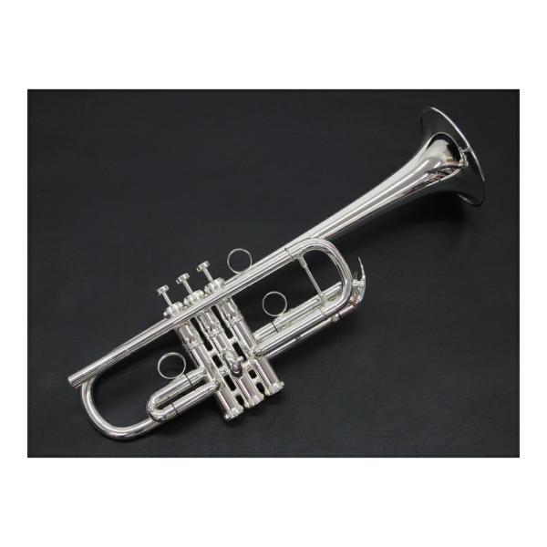 Brasspire unicorn BPTRC-1000S