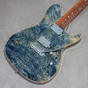 Sugi Guitars  DS496C BM-PRM/HM/ALD2P PLB｜key