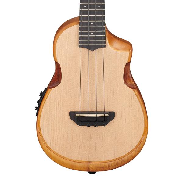 Ibanez AUC10E-OPN (Open Pore Natural)