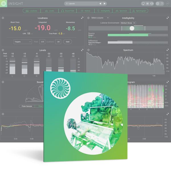iZotope Insight 2 [メール納品]