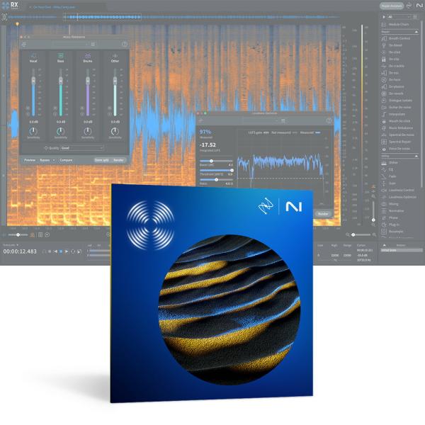 iZotope RX 11 Standard [メール納品]
