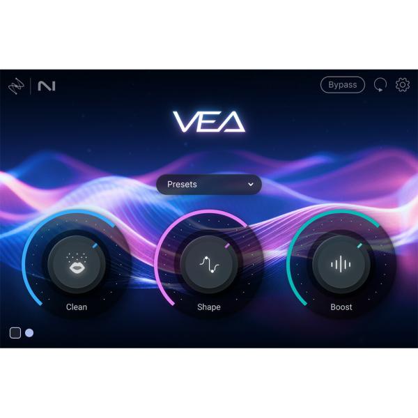 iZotope VEA [メール納品]