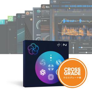 iZotope RX Post Production Suite 8.7: Crossgrade from any previous version of RX Standard [メール納品]