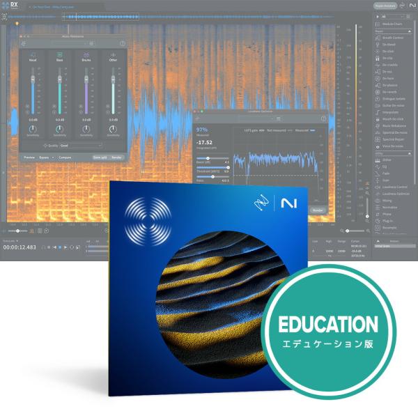iZotope RX 11 Standard EDU【メール納品】
