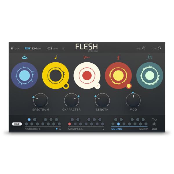Native Instruments Flesh [メール納品]