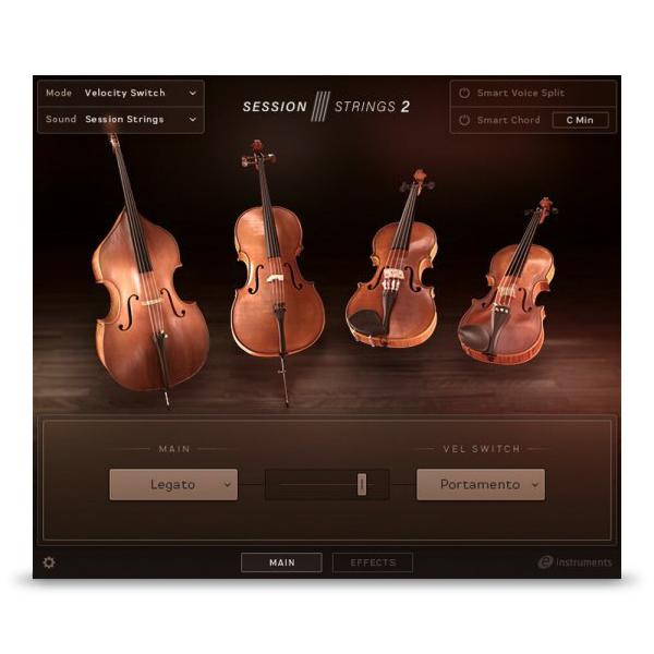 Native Instruments Session Strings 2 [メール納品]