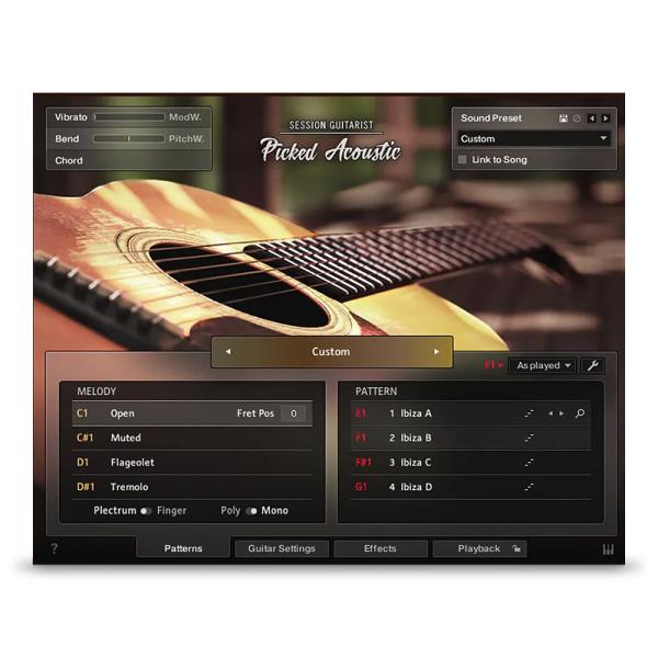 Native Instruments Session Guitarist - Picked Acou...