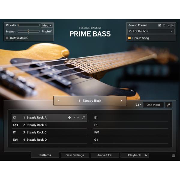 Native Instruments Session Bassist - Prime Bass [メ...