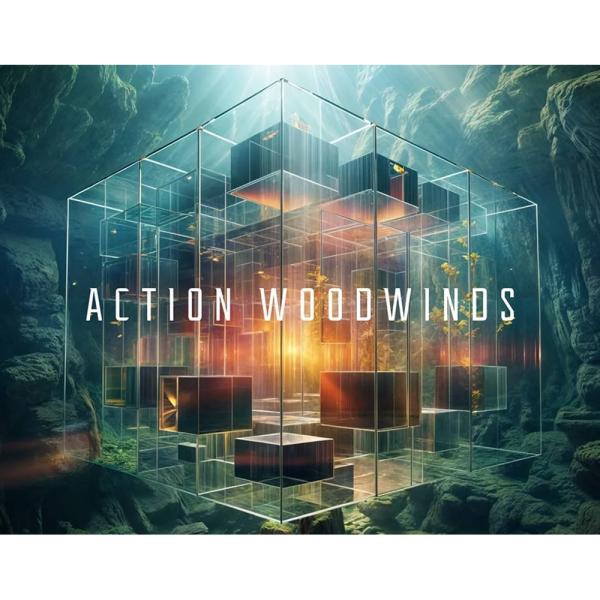 Native Instruments Action Woodwinds [メール納品]