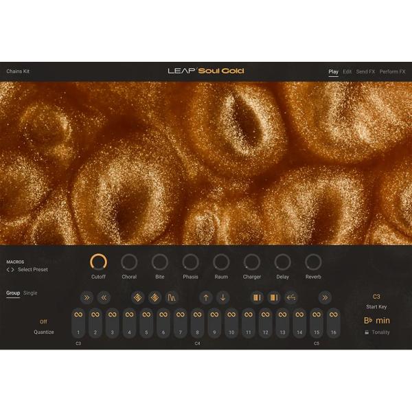 Native Instruments Leap Expansion - Soul Gold [メール...
