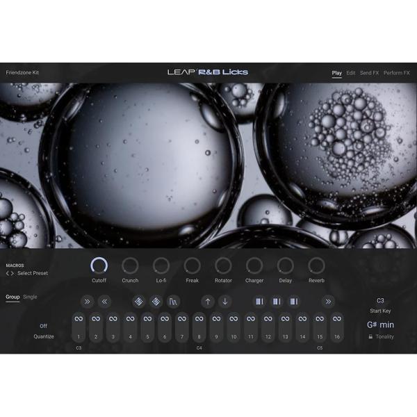 Native Instruments Leap Expansion - R&amp;B Licks [メール...