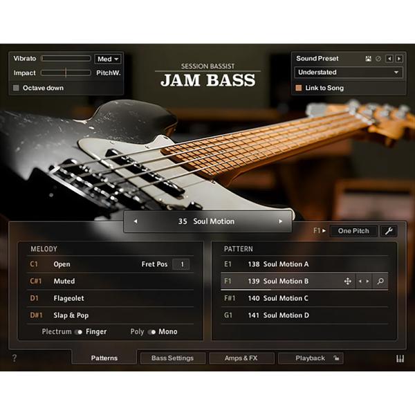 Native Instruments Session Bassist - Jam Bass [メール...