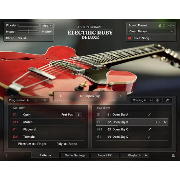 Native Instruments Session Guitarist - Electric Ru...