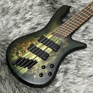 Spector NS Dimension 5  Haunted Moss Matte S/N.W220728【Fishman Fluence搭載・ダウンチューニング対応NS Dimension】｜key