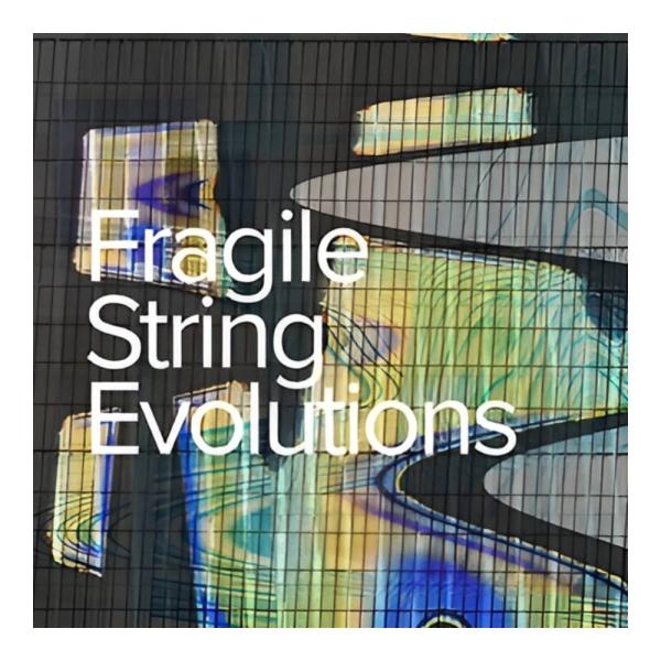 SPITFIRE AUDIO FRAGILE STRING EVOLUTIONS [メール納品]