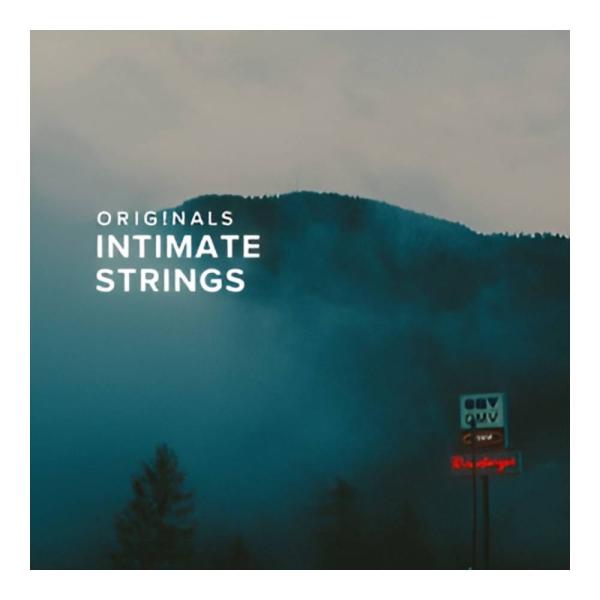 SPITFIRE AUDIO ORIGINALS INTIMATE STRINGS [メール納品]