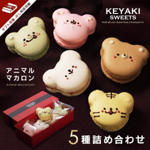 クール便でお届け ギフトにも最適 目が合った瞬間に笑顔になれるかわいいアニマルマカロン 5個詰め合わせ Animalmacaroon Keyaki Sweets ヤフーショップ 通販 Yahoo ショッピング