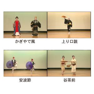 《全品送料無料》琉球舞踊DVD「玉城流煌扇会家...の詳細画像2