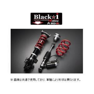 RSR RS-R Black-i Active車高調(ブラックアイアクティブ) レクサス