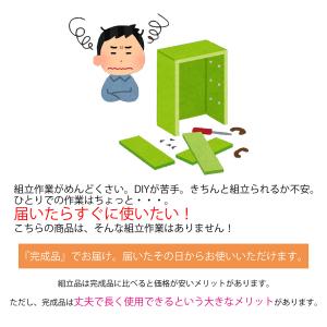 完成品 ベンチチェスト ローチェスト 2段 タ...の詳細画像1