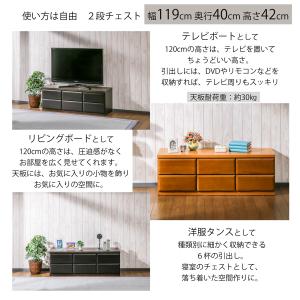 完成品 ベンチチェスト ローチェスト 2段 タ...の詳細画像4
