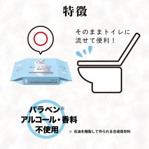 ネピア おしりセレブ ウェット WET 詰替え...の詳細画像2