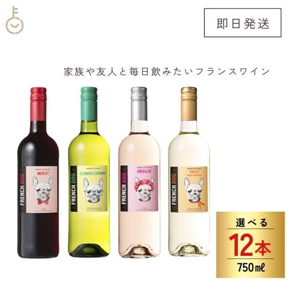 ボルドー 金賞 フレンチドッグ ワイン 12本 フランス 赤 白 ロゼ ワイン ワインセット
