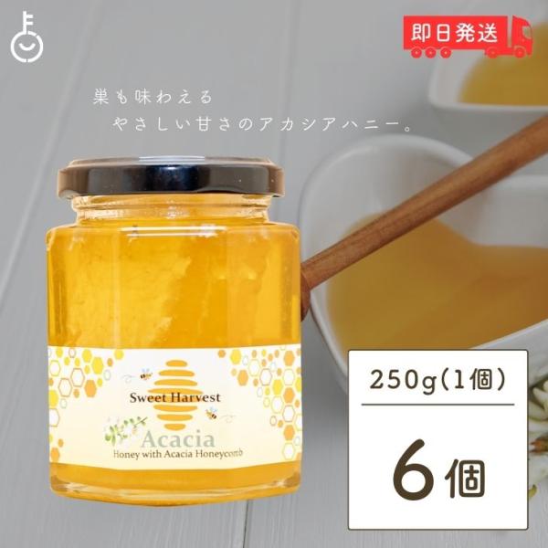 スイートハーベスト アカシアはちみつ巣入り ×6 アカシア はちみつ ハチミツ honey アカシア...