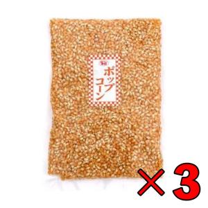 幸田商店 ポップコーン 1kg 3個 業務用 アメリカ産 GMOフリー とうもろこし 遺伝子組み換えではない まとめ買い ランキング ポイント消化