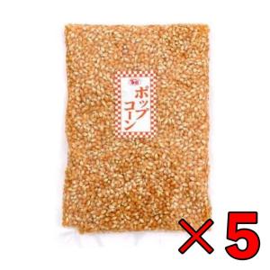 幸田商店 ポップコーン 1kg 5個 業務用 ア...の商品画像