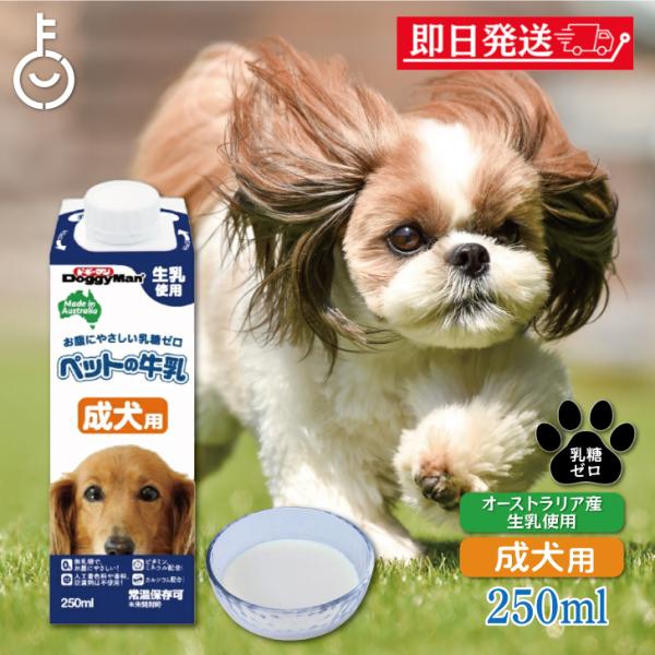 在庫処分 ドギーマン ペットの牛乳 成犬用 250ml 1本 成犬 無乳糖ミルク 無乳糖 ペット 牛...