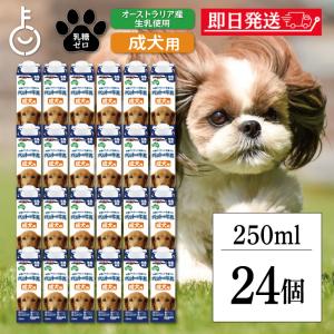 ドギーマン ペットの牛乳 成犬用 250ml 24本 成犬 無乳糖ミルク 無乳糖 ペット 牛乳 ミルク 犬｜keyroom