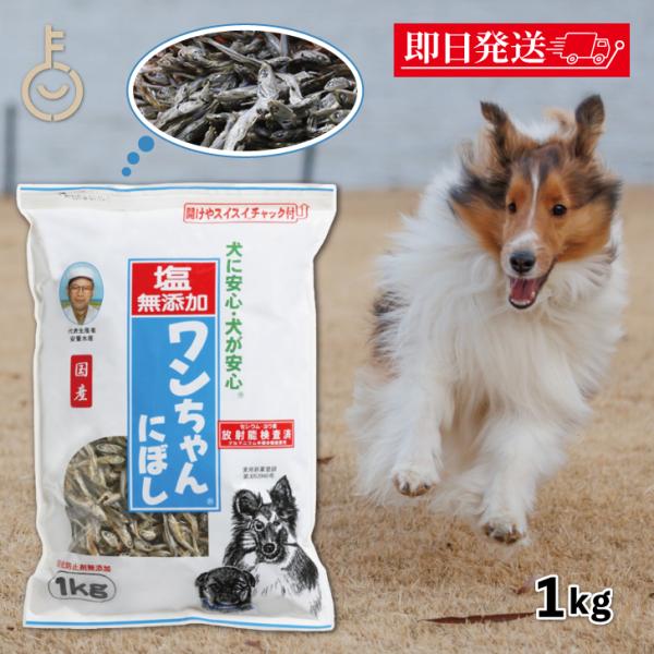 犬 おやつ 塩無添加 国産 ワンちゃんにぼし お徳用 1kg 1個 サカモトにぼし 塩無添加 ワンち...